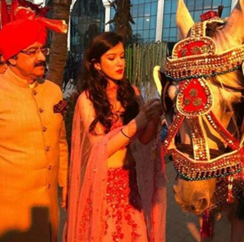Sonam, Rhea, Shanaya, Anshula, Harshvardhan, Shweta Bachchan, Arjun Kapoor, Sonam Kapoor, Karan Johar dancing, Arjun Kapoor at cousin Mohit Marwah wedding, See videos of Mohit Marwah wedding, Arjun, Kapoor cousins Sonam, Rhea, Shanaya, Anshula, Harshvardhan, Shweta Bachchan, Athiya Shetty, Aadar Jain, Seema Khan, Sridevi, Anil Kapoor and Anand Ahuj, entertainment news, bollywood news, television news