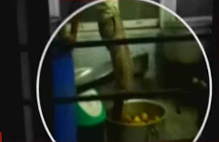 तस्वीर वायरल हो रहे वीडियो का स्क्रीनशॉट है। तस्वीर वायरल हो रहे वीडियो का स्क्रीनशॉट है।