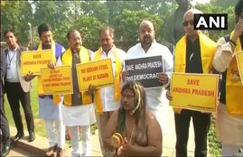 TDP, TDP MP PROTEST, Andhra pradesh, Chandra babu naidu, ysr congress, special package for Andhra Pradesh, Hindi news, news in Hindi, Jansatta