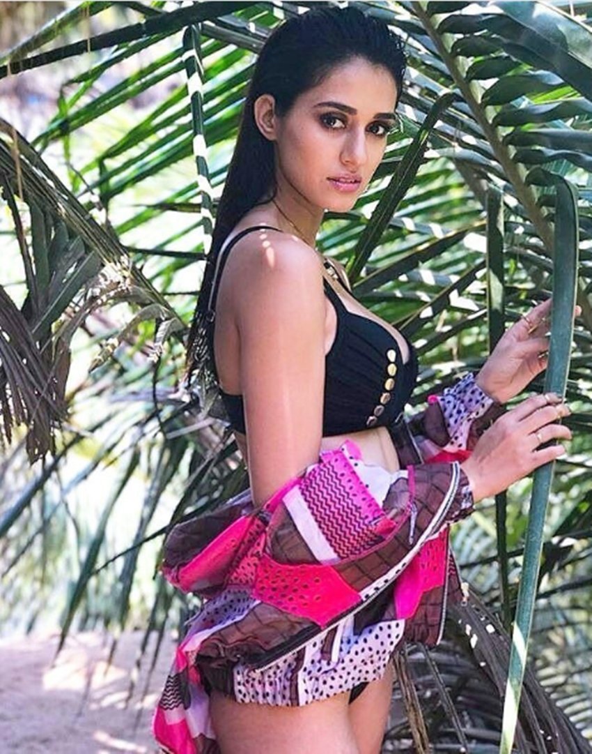 Disha Patani, Disha Patani Trolled, Disha Patani Latest Photos, Disha Patani Movies, Disha Patani Latest News, Disha Patani Jansatta, Disha Patani Hot Pics, Disha Patani Bikini Pics, Disha Patani College Photos, Disha Patani Images, Disha Patani Vacations