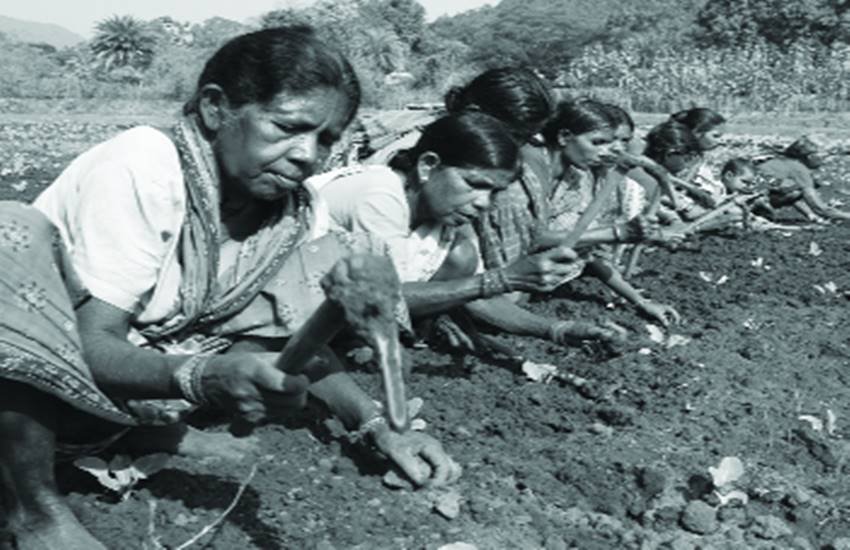 प्रतीकात्मक तस्वीर। प्रतीकात्मक तस्वीर।