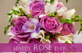 rose day, rose day 2018, happy rose day, rose day sms, happy rose day sms, happy rose day messages, rose day messages, happy rose day 2018, rose day shayari