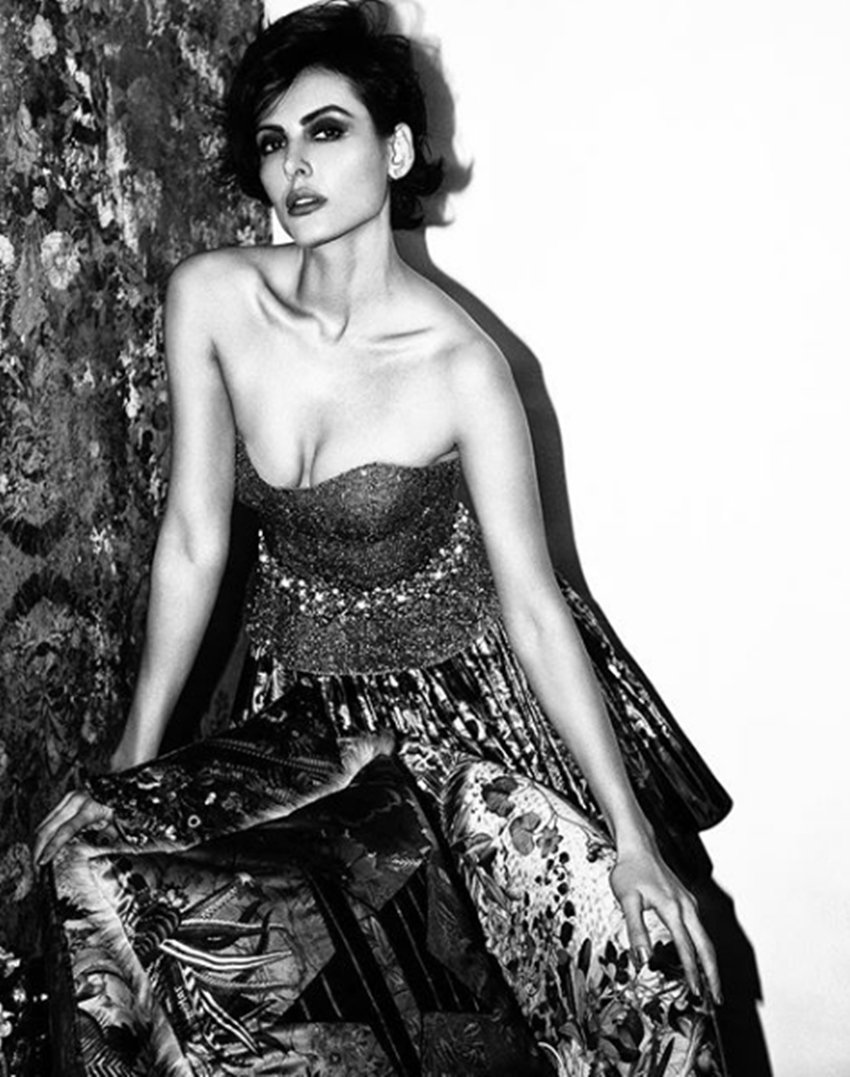 Mandana Karimi, Gaurav Gupta, Domestic Violence, Mandana Karimi Latest Look, Mandana Karimi New Look, Mandana Karimi Bigg Boss, Mandana Karimi Images, Mandana Karimi Photos, Mandana Karimi
