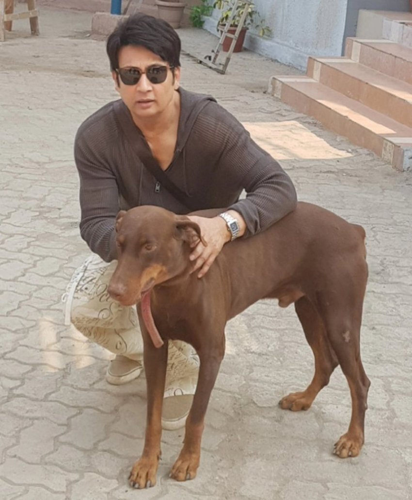 Shekhar Suman, Shekhar Suman Twitter, Shekhar Suman Movie, Shekhar Suman Images, Shekhar Suman Pictures, Shekhar Suman Muscles, Shekhar Suman at Home, Shekhar Suman Body