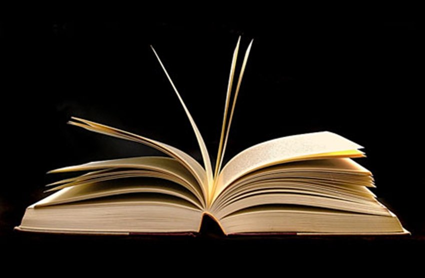 प्रतीकात्मक तस्वीर 