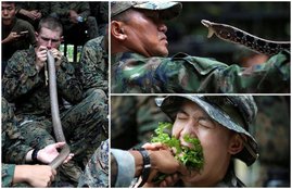 Cobra Gold, Cobra Gold photos, largest military exercises in Asia, us army, thai army, drink Cobra Blood, cobra venom