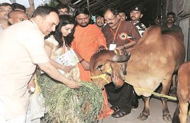 cow, cow protection bill, politics on cow, beef ban, cow urine, cancer cure, rajya sabha debate on importance of cow, uses of cow urine, beef, Hindi news, News in Hindi, Jansatta