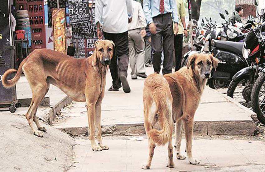 (प्रतीकात्‍मक फोटो)