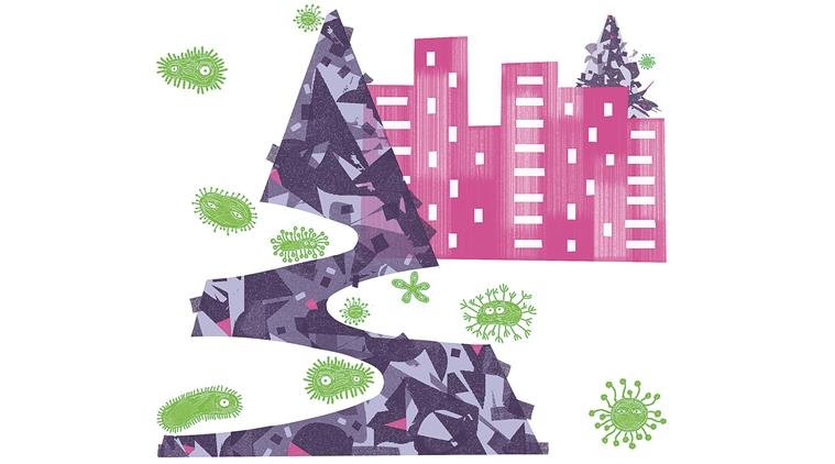 Illustration by C R Sasikumar Illustration by C R Sasikumar