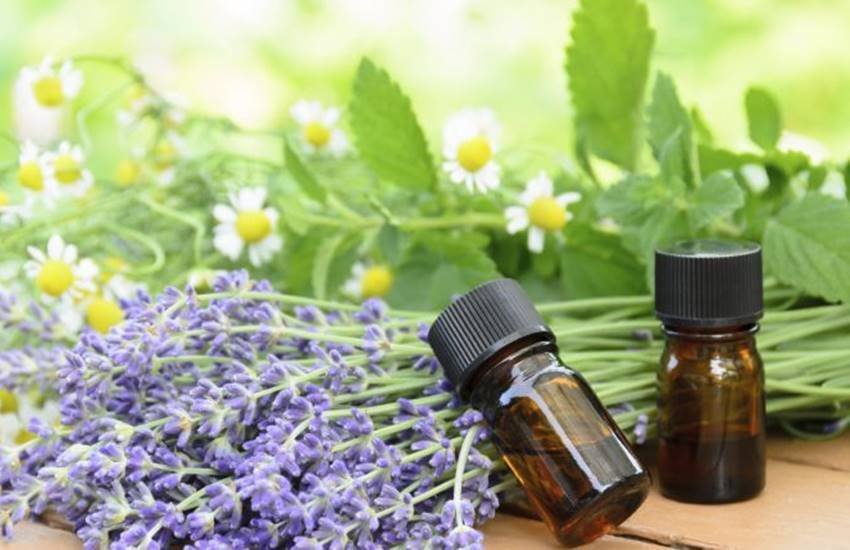 baldness, hair fall, hair fall control in hindi, hair fall control treatments in hindi, hair fall control tips in hindi, essential oils, essential oils uses in hindi, essential oils for hairloss in hindi, beauty tips in hindi, hair care tips in hindi, lifestyle news in hindi, jansatta