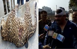 leapard and UP police