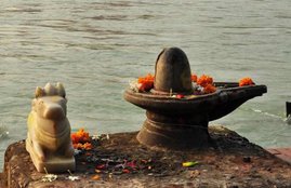 goddess laxmi, goddess durga, durga mata, laxmi mata, lord krishna, lord shiva, lord vishnu, brahma, why donate, donation, donation after worship, Haldi, turmric, kevda, kevda flower, religious news in hindi, jansatta