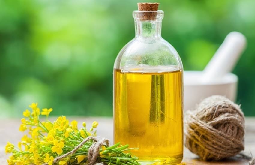 hair fall, hair fall treatments in hindi, hair loss treatments in hindi, hair fall treatments in india, hair fall treatments at home in hindi, home remedies for hair loss in hindi, essential nutrition for hairs in hindi, hair follicles in hindi, hair problems in hindi, lifestyle news in hindi, jansatta