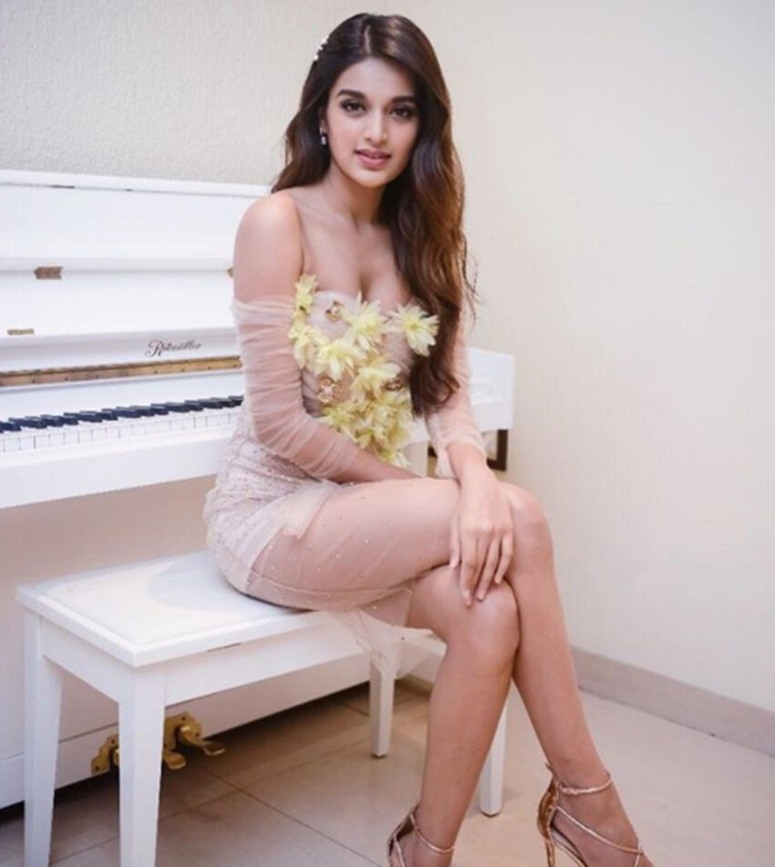 Nidhi Agarwal, actress Nidhi Agarwal, Nidhi Agarwal photos, Nidhi Agarwal bollywood actress Nidhi Agarwal, Nidhi Agarwal bold photos, Nidhi Agarwal instagram, Nidhi Agarwal troll, Nidhi Agarwal film, Nidhi Agarwal movie, Nidhi Agarwal, Actress Nidhi Agarwal Images, Tiger Shroff, actor Tiger Shroff, Tiger Shroff, Munna Michael, entertainment