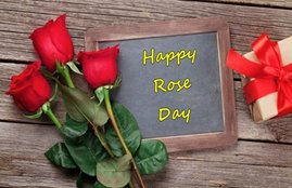 rose day, rose day 2018, happy rose day, rose day gif images, happy rose day gif images, happy rose day 2018, rose day image, rose day wishes, हैप्पी रोज डे २०१८, हैप्पी रोज डे, रोज डे, happy rose day image, happy rose day images, happy rose day wishes, happy rose day 2018 images, rose day in hindi, what is rose day, rose day wishes in hindi, rose day latest news