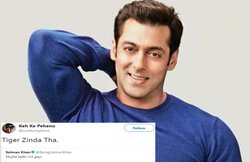 सलमान खान ने कहा मुझे लड़की मिल गई, टि्वटर यूजर्स ने लिए मजे- टाइगर जिंदा था!