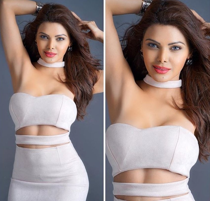 Sherlyn chopra,sherlyn chopra birthday, 11 february,birthday specials, sherlyn chopra controversy, playboy magazine, Bollywood news, Entertainment news