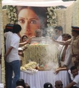 sridevi, sridevi kapoor, sridevi kapoor funeral, sridevi funeral video, sridevi funeral photos, shree devi funeral photos, shree devi, shree devi funeral, shree devi kapoor, shri devi, shri devi funeral, shri devi latest news, shree devi funeral video, sridevi funeral, sridevi funeral video, sridevi funeral news, shree devi death news, shree devi news, sridevi death news, sridevi death, sridevi news, sridevi news in hindi