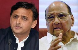 यूपी उपचुनावों में धर्मनिरपेक्षता के नाम पर साथ आए सपा और एनसीपी