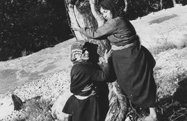 Chipko Aandolan, Google Doodle, chipko Movement