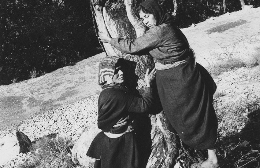 Chipko Aandolan, Google Doodle, chipko Movement