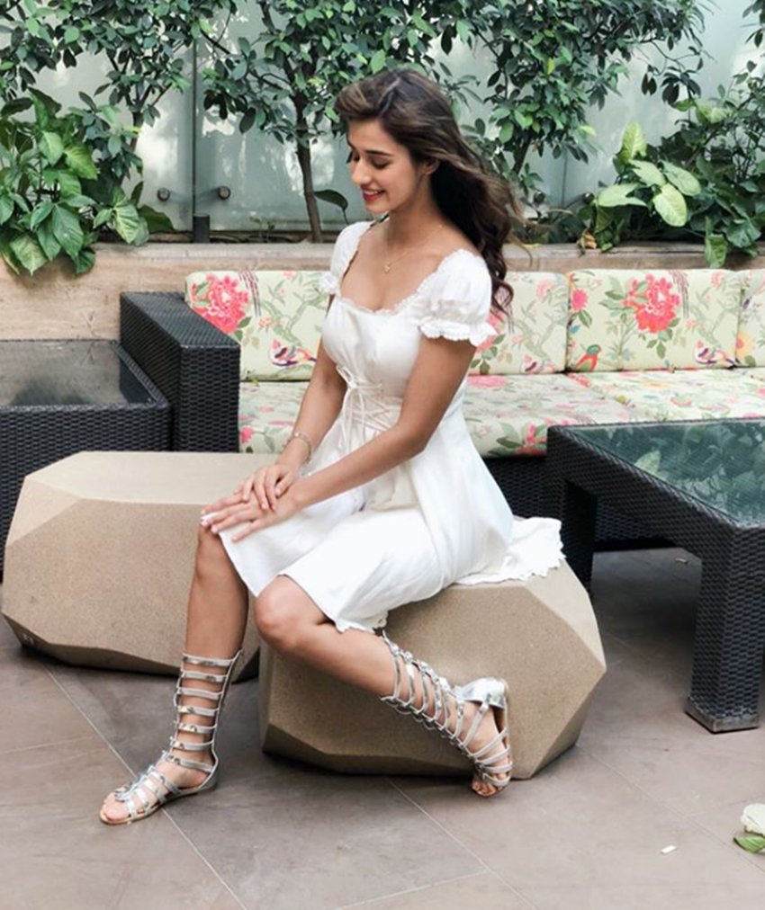 Disha Patani, Disha Patani Movies, Disha Patani Baaghi 2, Baaghi 2 Actress, Disha Patani Upcoming Movies, Disha Patani Tiger Shroff, Entertainment News in Hindi, Bollywood News in Hindi