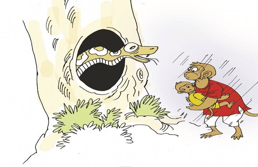 प्रतीकात्मक तस्वीर।