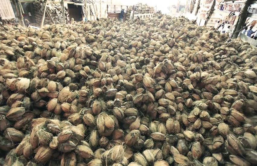 तस्वीर का प्रयोग प्रतीक के तौर पर किया गया है। (एक्सप्रेस फोटो)