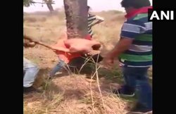 यूपी: उधार वापस मांगा तो पेड़ में बांधकर पीटा, जबरन पेशाब भी पिलाया!