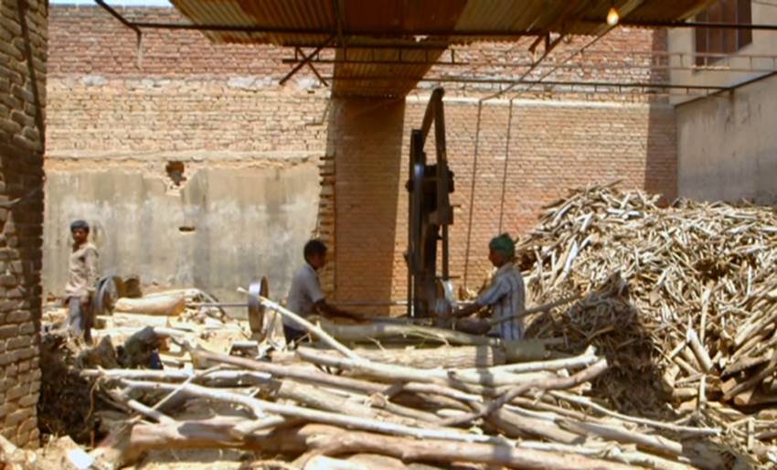 नवाज ने बताया कि उनके पिता कई तरह के काम किया करते थे, जैसे साइकिल का या आरा मशीन चलाने का काम, लेकिन बचत नहीं होती थी। उन्होंने बताया कि वो ज्यादातर जमीनें बेचकर काम चलाते थे।