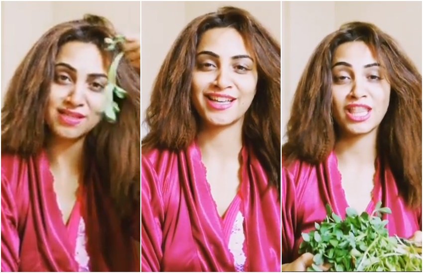 Arshi Khan, Model, Big Boss-11, Contestant, Controversy, Publicyst, arshi khan, arshi khan bold avtaar, arshi khan video, arshi khan on maahi ve, arshi khan instagram, Arshi Khan BCL, Box Cricket League, Entertainment News, Jansatta News, Hindi News Arshi Khan, Model, Big Boss-11, Contestant, Controversy, Publicyst, arshi khan, arshi khan bold avtaar, arshi khan video, arshi khan on maahi ve, arshi khan instagram, Arshi Khan BCL, Box Cricket League, Entertainment News, Jansatta News, Hindi News