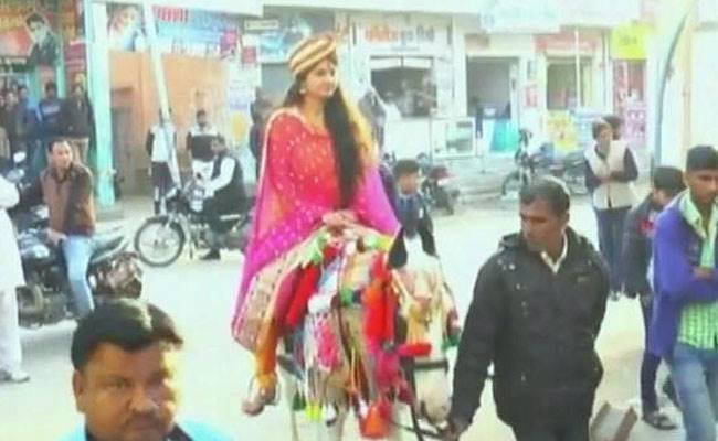 Gargi Ahlawat, Daughter of Jhunjhunu MP, Santosh Ahlawat, Nawalgarh, bride riding a horse, pre-wedding ritual of 'Bandori', Bride Horse ride, rajasthan, bride on horse