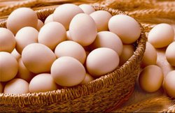 WORLD EGG DAY: आखों की रोशनी बढ़ाने में भी फायदेमंद साबित हो सकता है अंडा