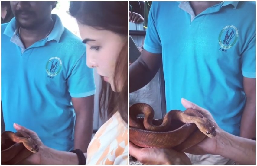 Jacqueline Fernandez, judwaa star Jacqueline Fernandez, Jacqueline Fernandez having fun in Batur Natural Hot Spring, see HD pictures of Jacqueline Fernandez, Jacqueline Fernandez having fun, Jacqueline Fernandez in Batur Natural Hot Spring, see HD pictures of Jacqueline Fernandez, bollywood news, television news, entertainment news, bollywood news Jacqueline Fernandez, judwaa star Jacqueline Fernandez, Jacqueline Fernandez having fun in Batur Natural Hot Spring, see HD pictures of Jacqueline Fernandez, Jacqueline Fernandez having fun, Jacqueline Fernandez in Batur Natural Hot Spring, see HD pictures of Jacqueline Fernandez, bollywood news, television news, entertainment news, bollywood news