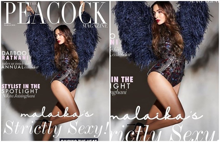Malaika Arora, actress Malaika Arora, bollywood actress Malaika Arora, Malaika Arora dress, Malaika Arora bold dress, Malaika Arora dress cost, entertainment, jansatta