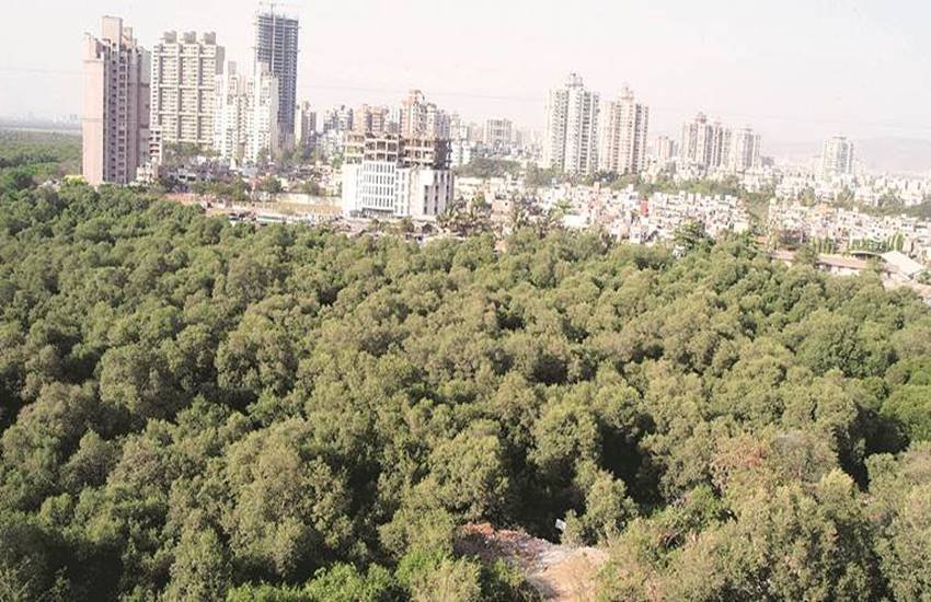 Mumbai Crime, Mumbai news, Crime News, Mumbai Crime News, Minor Rape, Crime Branch, Charkop police, complaint, mangroves, Hindi news, News in Hindi, jansatta