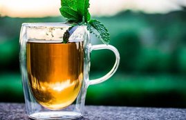 mint, mint leaves in hindi, mint leaves uses in hindi, mint leaves summer drinks in hindi, benefits of mint leaves in hindi, benefits of mint water in hindi, summer, summer diseases in hindi, summer problems in hindi, health news in hindi, jansatta