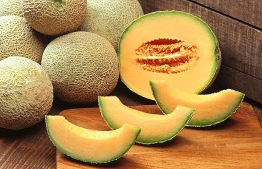 Muskmelons, muskmelon, muskmelon benefits in hindi, muskmelon during summers, muskmelon fruit, musk melon juice, musk melon nutrition in hindi, nutritional value of muskmelon in hindi, health news in hindi, jansatta