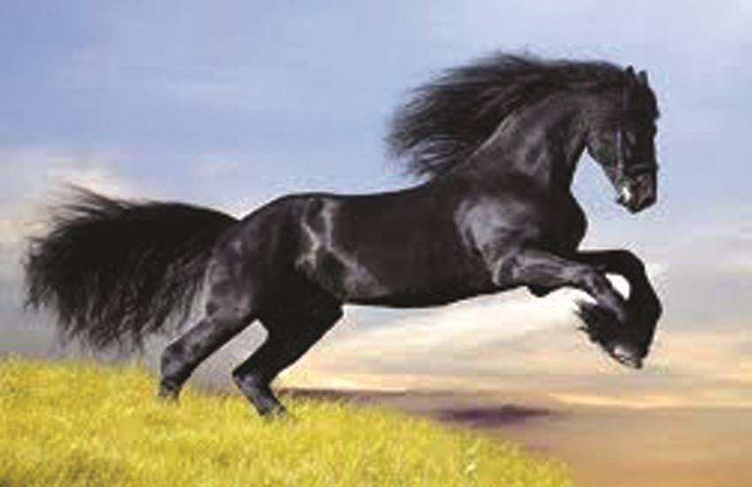 प्रतीकात्मक तस्वीर।