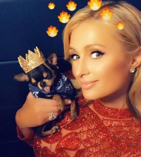 Paris Hilton, Paris Hilton wedding, Lifestyle, hollywood actress Paris Hilton, Paris Hilton photos, Paris Hilton wedding ring, Paris Hilton ring