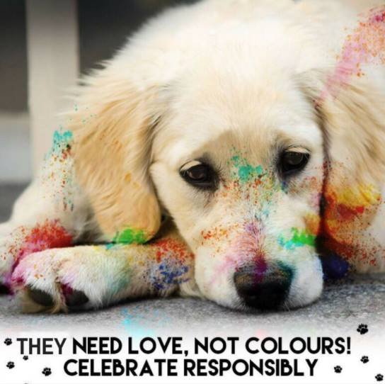 holi, holi 2018, happy holi, happy holi 2018, holi images, holi wishes, happy holi images, holi news, holi 2018 india, cricketers, cricketers holi, holi wishes from cricketers, cricketers holi celebration, cricketers holi images, cricketers holi wishes, harbhajan singh, virendra sehwag, brett lee, chris gayle, rohit sharma, hardik pandya, sports news in hindi, jansatta