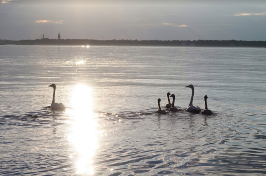 हालांकि रोथ ने यह आइलैंड तब खरीदा जब उनके ब्वॉयफ्रेंड ने फिनलैंड की प्राकृतिक छटा का सौंदर्य दिखाया। (Photo Source - Facebook/SuperShe)