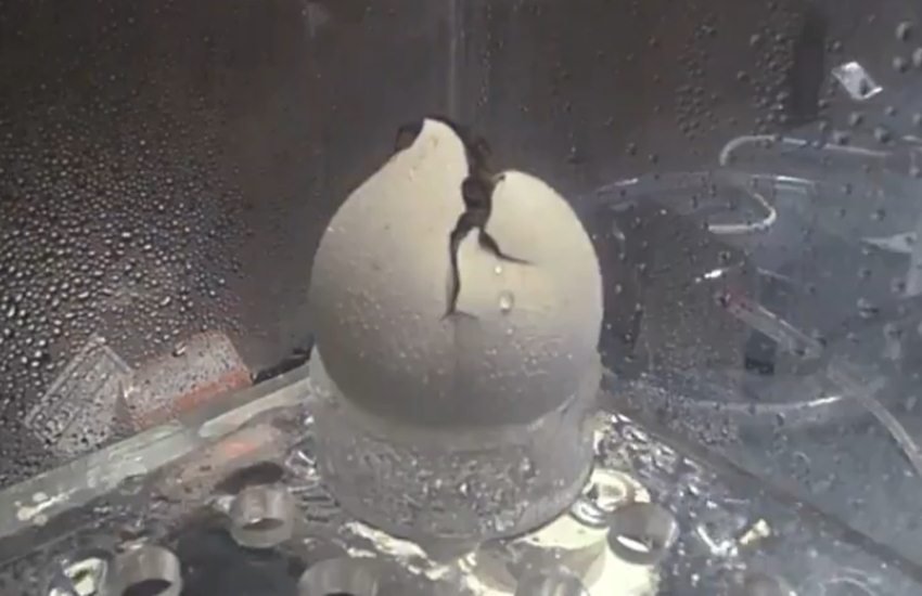 वीडियो से लिया गया स्क्रीनशॉट। (सोर्स- Twitter/ ABC News) वीडियो से लिया गया स्क्रीनशॉट। (सोर्स- Twitter/ ABC News)