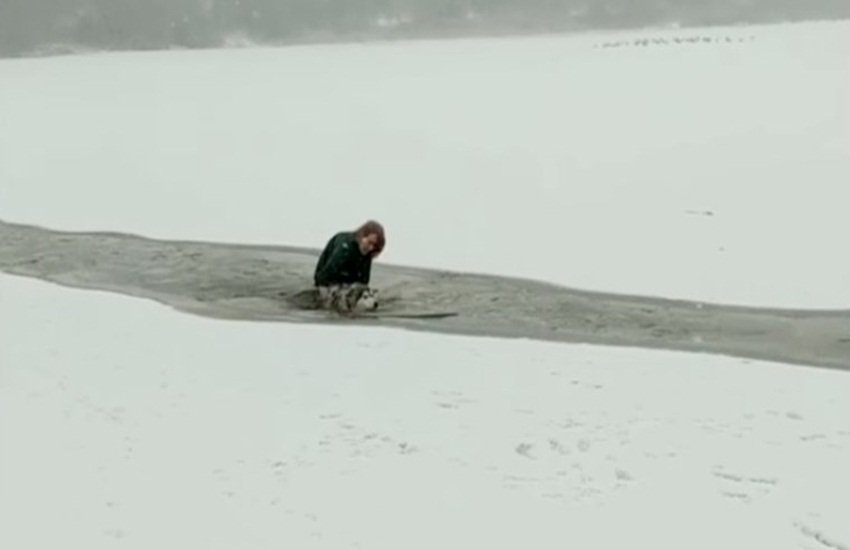 woman and dog woman and dog