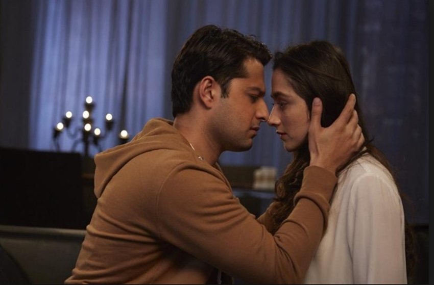 jamai raja, actress nia sharma, yeh meri life hai actres, shama sikandar, surbhi jyoti, Sanjeeda Sheikh, jamai raja actress, nia sharma, shama sikandar, surbhi jyoti, Sanjeeda Sheikh, actress turned sanskari bahu into bold awtaar, entertainment news, bollywood news, television news, entetainment news