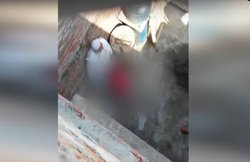 VIDEO: बच्ची के साथ बुजुर्ग शख्स ने की अश्लील हरकत, वीडियो वायरल हुआ तो पुलिस ने दबोचा