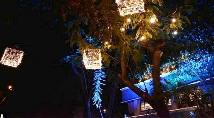 Sonam Kapoor Wedding, anil kapoor, anil kapoor house in mumbai, anil kapoor house decoration mood is on, anil kapoor wife sunita kapoor, sonam mom sunita kapoor decorating the house, anil house decorating for sonam wedding, see pictures of sonam kapoor house, sonam kapoor house, anil kapoor house, entertainment news, bollywood news, television news, entertainment news, bollywood news, television news