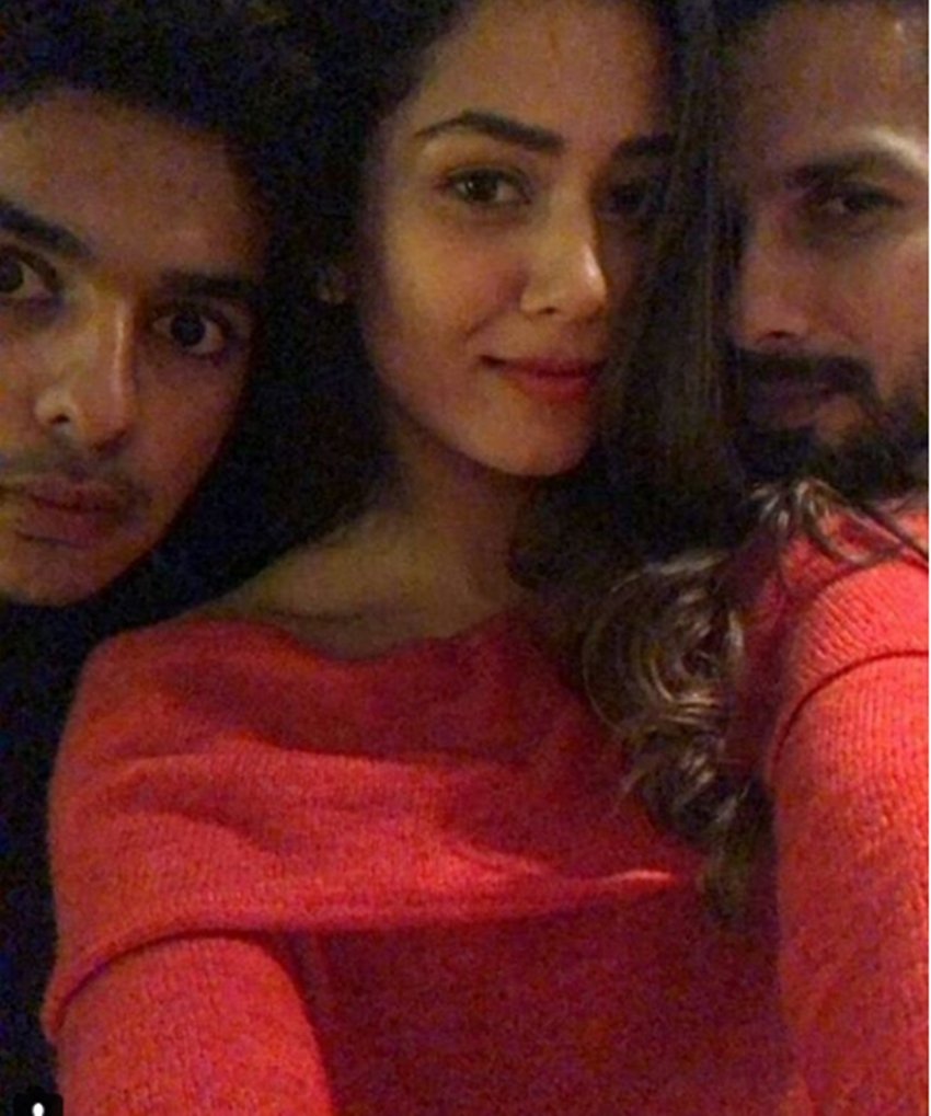 shahid kapoor and mira rajput, shahid and mira family get together, mira rajput, shahid and younger brother ishaan khatta, ishaan khattar debut film, ishaan khatta in beyond the clouds, beyond the clouds special screening, beyond the clouds date cute pictures of shahid mira and ishaan, bollywood news, television news, entertainment news, bollywood news, television news, entertainment news, bollywood news, television news
