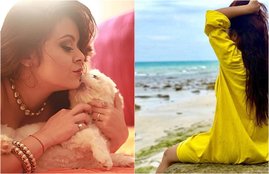 saath nibhana sathiya, saath nibhana sathiya fame actress, gopi nahu ake Devoleena Bhattacharjee, Devoleena in a beautiful world, see amazing pictures of actress Devoleena, entertainment news, bollywood news, television news, entertainment news,entertainment news, bollywood news, television news, entertainment news