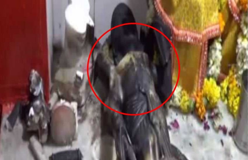अमरोहा के इसी मंदिर में खंडित पड़ी हनुमान की मूर्ति।